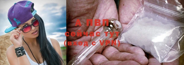 a pvp Абинск
