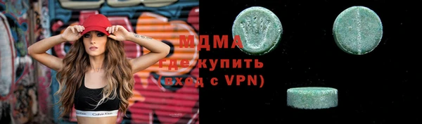 мдпв Гусев