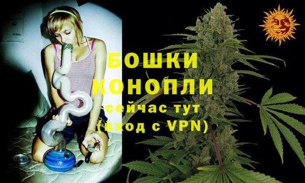 Альфа ПВП Нягань