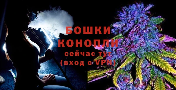 Альфа ПВП Нягань